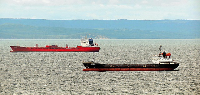 A large red cargo ship and a smaller black cargo ship sail on a calm sea with hilly green land visible in the distant background under a cloudy sky.