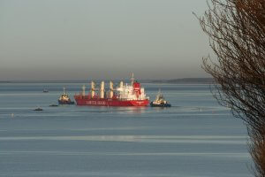 A large red cargo ship labeled “LIBERTIA BULKERS” is escorted by several small tugboats on calm blue water. A tree with bare branches is visible on the right. The sky is clear and the horizon is distant.